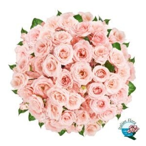 Bouquet di 50 rose rosa