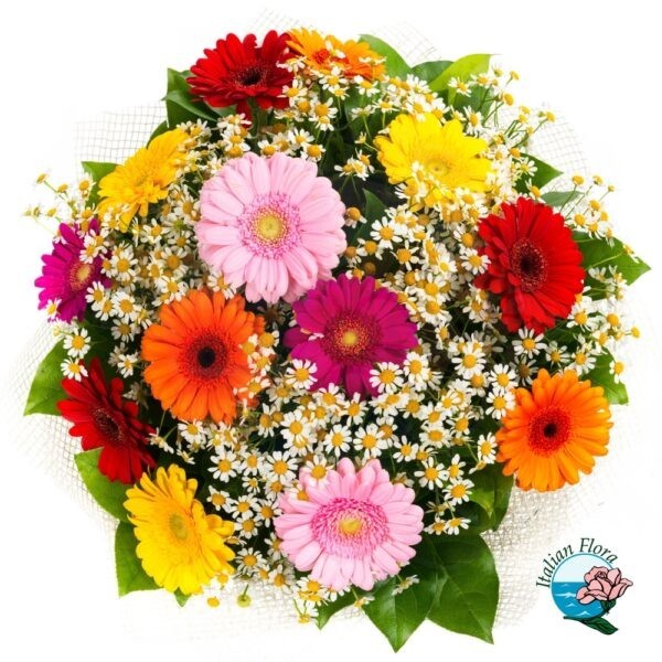 Bouquet di gerbere e margherite