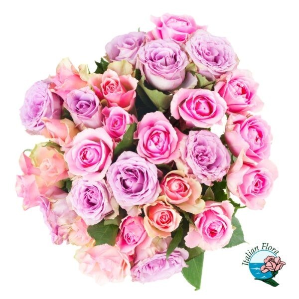 Bouquet di 24 rose rosa e fucsia